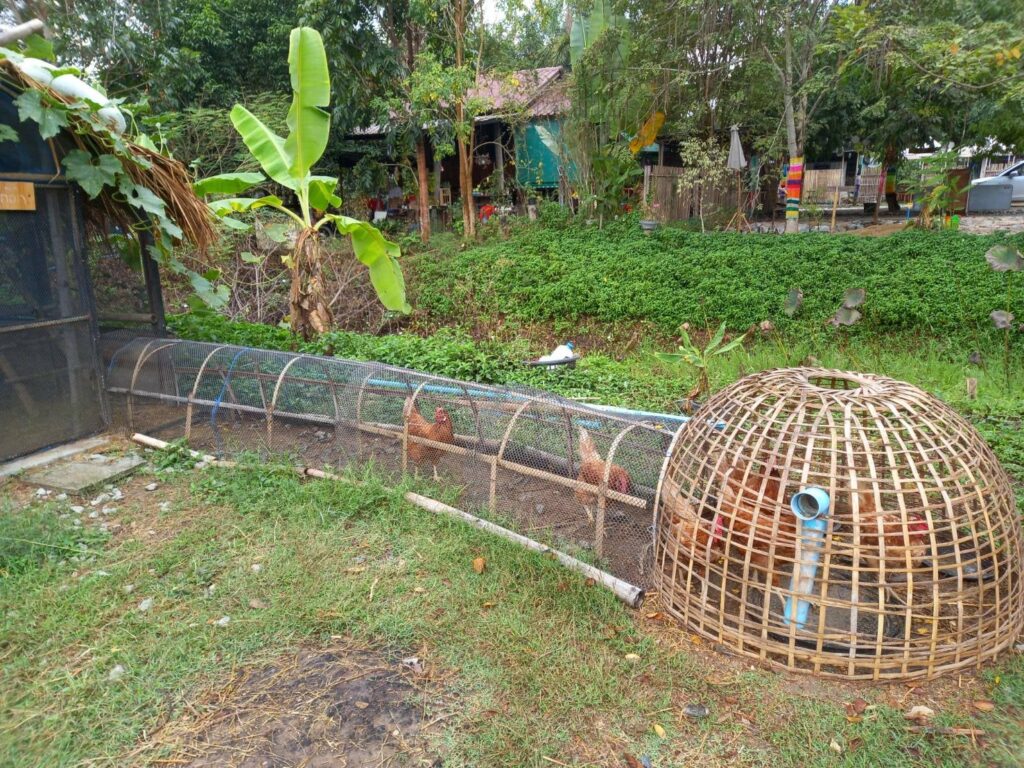 ติดตามเยี่ยมเกษตรกร Young Smart Farmer นายรังสรร โนนคำ เกษตรกรตำบลท่าเสา ณ ณ ไร่ลุงรัง ตำบลท่าเสา อำเภอเมือ