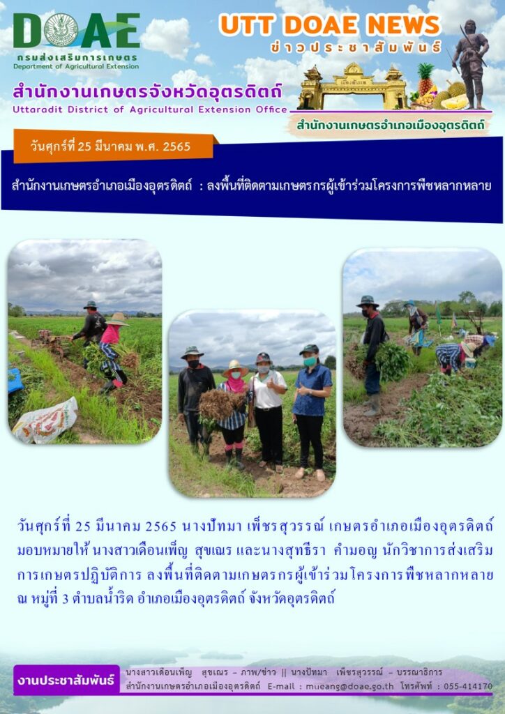 ลงพื้นที่ติดตามเกษตรกรผู้เข้าร่วมโครงการพืชหลากหลาย (แปลงสาธิตปลูกถั่วลิสง)