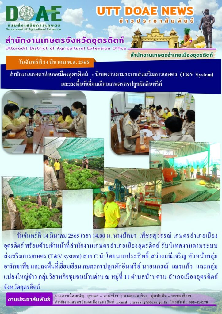 รับนิเทศงานตามระบบส่งเสริมการเกษตร (T&V system) สาย C และลงพื้นที่เยี่ยมเยียนเกษตรกรปลูกผักอินทรีย์ และกลุ่มแปลงใหญ่ข้าว กลุ่มวิสาหกิจชุมชนบ้านด่าน