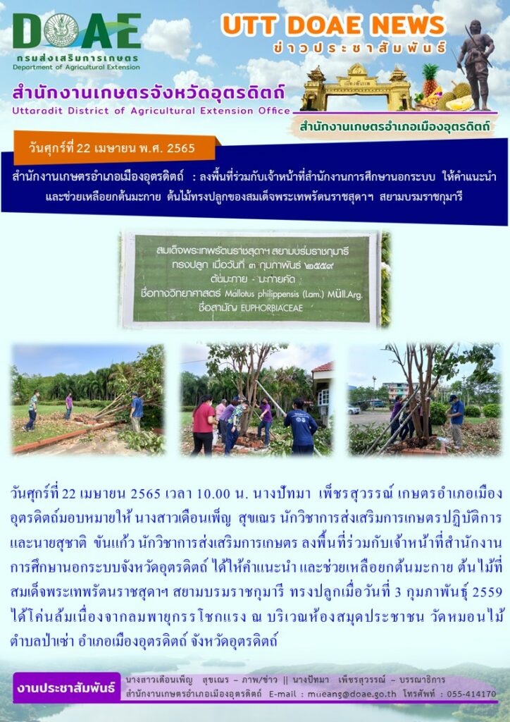 ลงพื้นที่ร่วมกับเจ้าหน้าที่สำนักงานการศึกษานอกระบบจังหวัดอุตรดิตถ์ ได้ให้คำแนะนำ และช่วยเหลือยกต้นมะกาย ต้นไม้ที่สมเด็จพระเทพรัตนราชสุดาฯ สยามบรมราชกุมารี ทรงปลูกเมื่อวันที่ 3 กุมภาพันธุ์ 2559 ได้โค่นล้มเนื่องจากลมพายุกรรโชกแรง ณ บริเวณห้องสมุดประชาชน วัดหมอนไม้ ตำบลป่าเซ่า อำเภอเมืองอุตรดิตถ์ จังหวัดอุตรดิตถ์