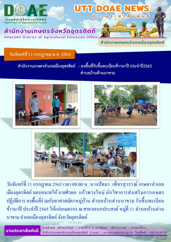 รับขึ้นทะเบียนปลูกข้าวนาปี ปี 2565