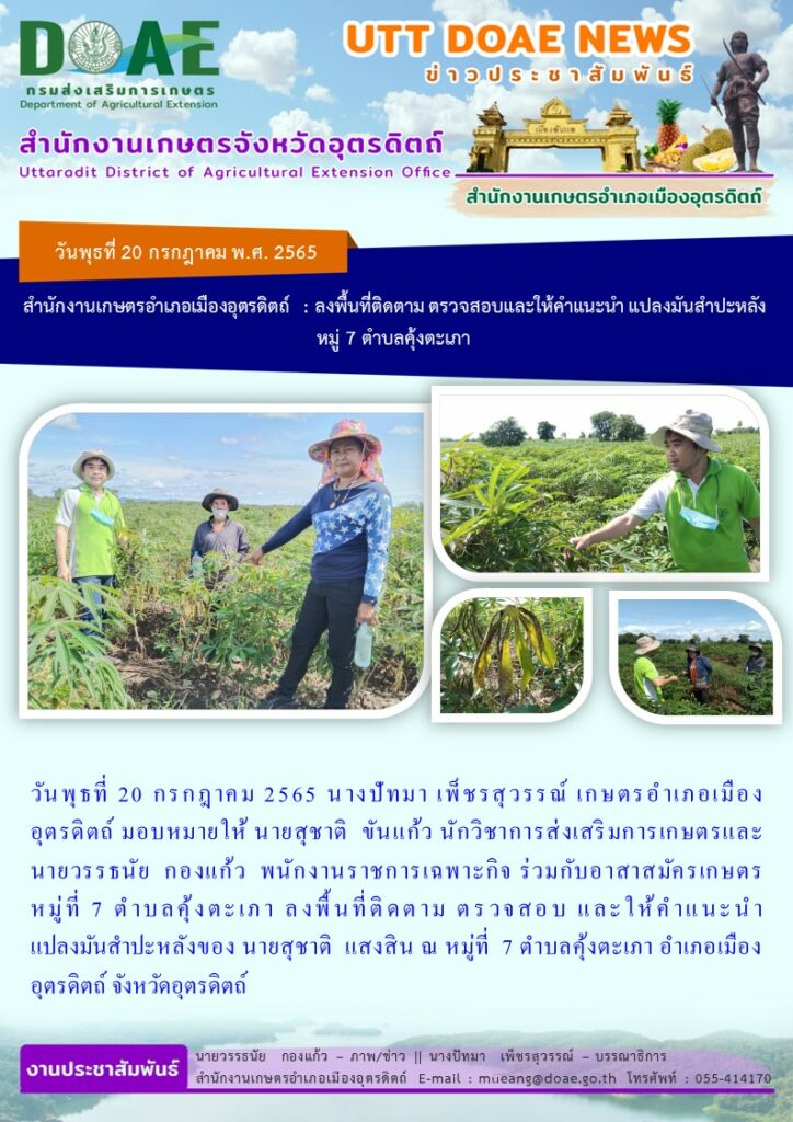 ลงพื้นที่ติดตาม ตรวจสอบ และให้คำแนะนำแปลงมันสำปะหลัง