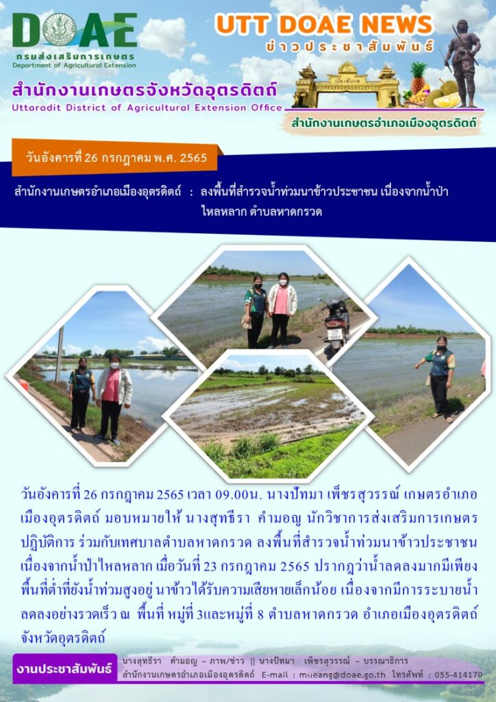 ลงพื้นที่ร่วมกับเจ้าหน้าที่เทศบาลตำบลหาดกรวด สำรวจน้ำท่วมแปลงนาข้าวของเกษตรกร เนื่องจากน้ำป่าไหลหลาก