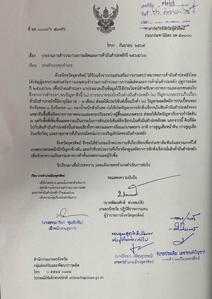 การสำรวจภาวะการผลิตและการค้ามันสำปะหลังปี 2565/66