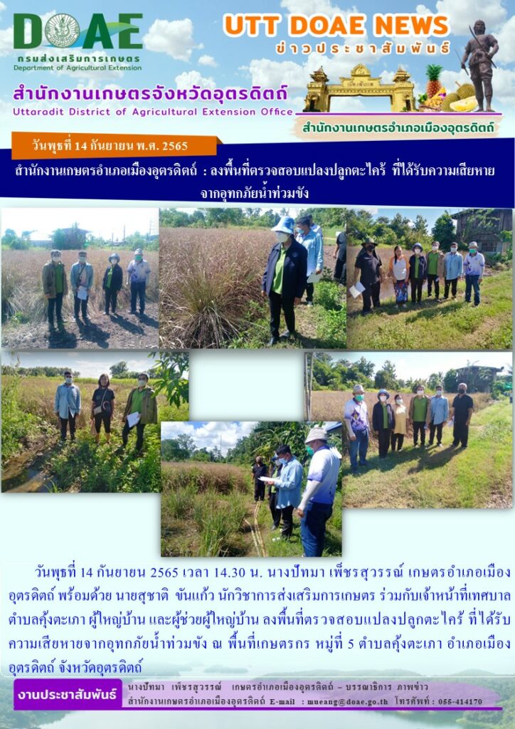 ลงพื้นที่ตรวจสอบแปลงปลูกตะไคร้ ที่ได้รับความเสียหายจากอุทกภัยน้ำท่วมขัง