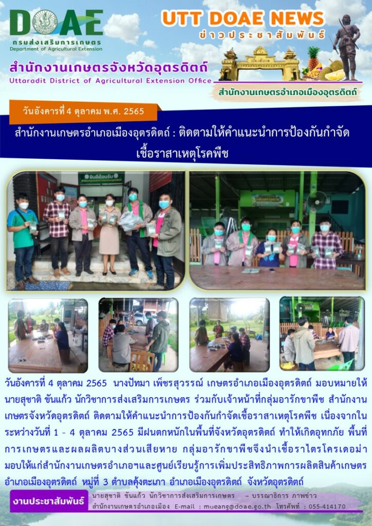 สำนักงานเกษตรอำเภอเมืองอุตรดิตถ์ : ติดตามให้คำแนะนำการป้องกันกำจัด เชื้อราสาเหตุโรคพืช