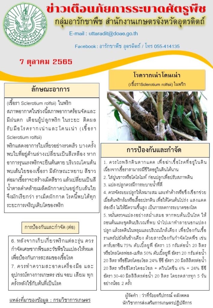 ข่าวเตือนภัยการระบาดศัตรูพืช