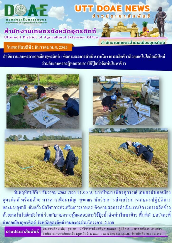 ติดตามผลการดำเนินงานโครงการผลิตข้าวด้วยเทคโนโลยีสมัยใหม่ ร่วมกับเกษตรกรผู้ทดสอบการใช้ปุ๋ยน้ำฉีดพ่นในนาข้าว พื้นที่ตำบลวังกะพี้