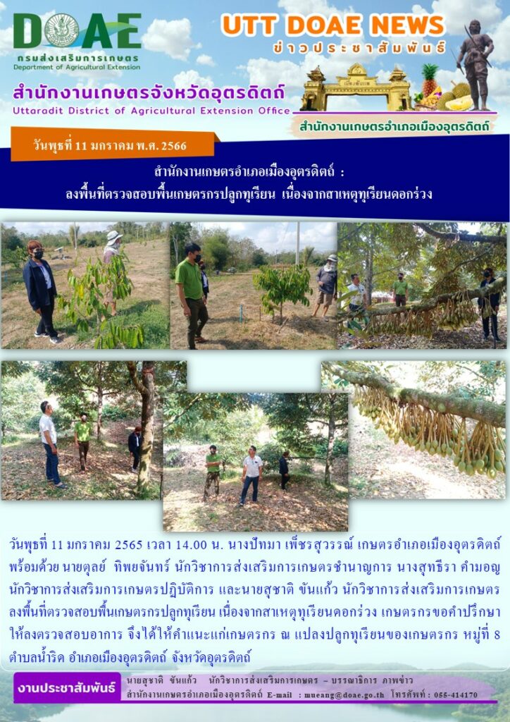 ลงพื้นที่ตรวจสอบพื้นเกษตรกรปลูกทุเรียน เนื่องจากสาเหตุทุเรียนดอกร่วง