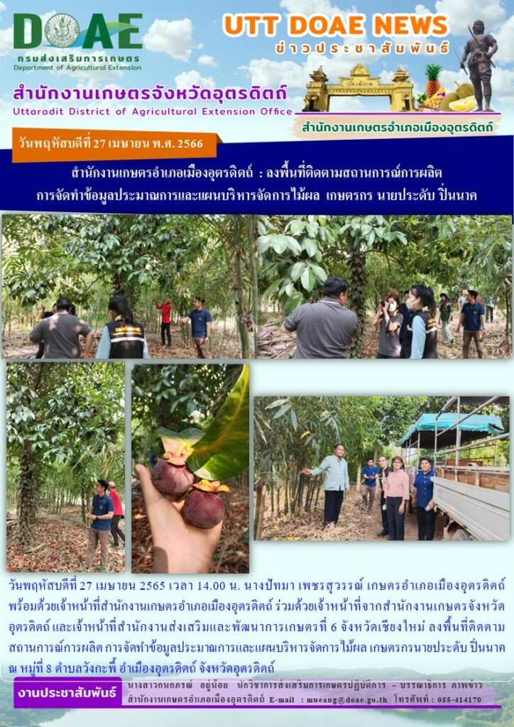 ลงพื้นที่ติดตามสถานการณ์การผลิต การจัดทำข้อมูลประมาณการและแผนบริหารจัดการไม้ผล เกษตรกรนายประดับ ปิ่นนาค