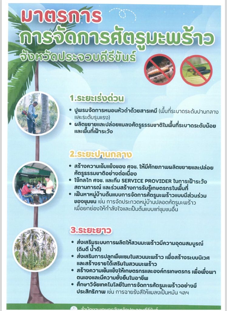 แนวทางการจัดการศัตรูมะพร้าว