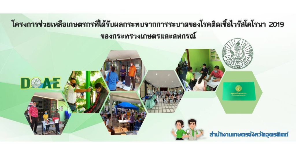 โครงการช่วยเหลือเกษตรกรที่ได้รับผลกระทบจากการระบาดของโรคติดเชื้อไวรัสโคโรนา 2019 ของกระทรวงเกษตรและสหกรณ์