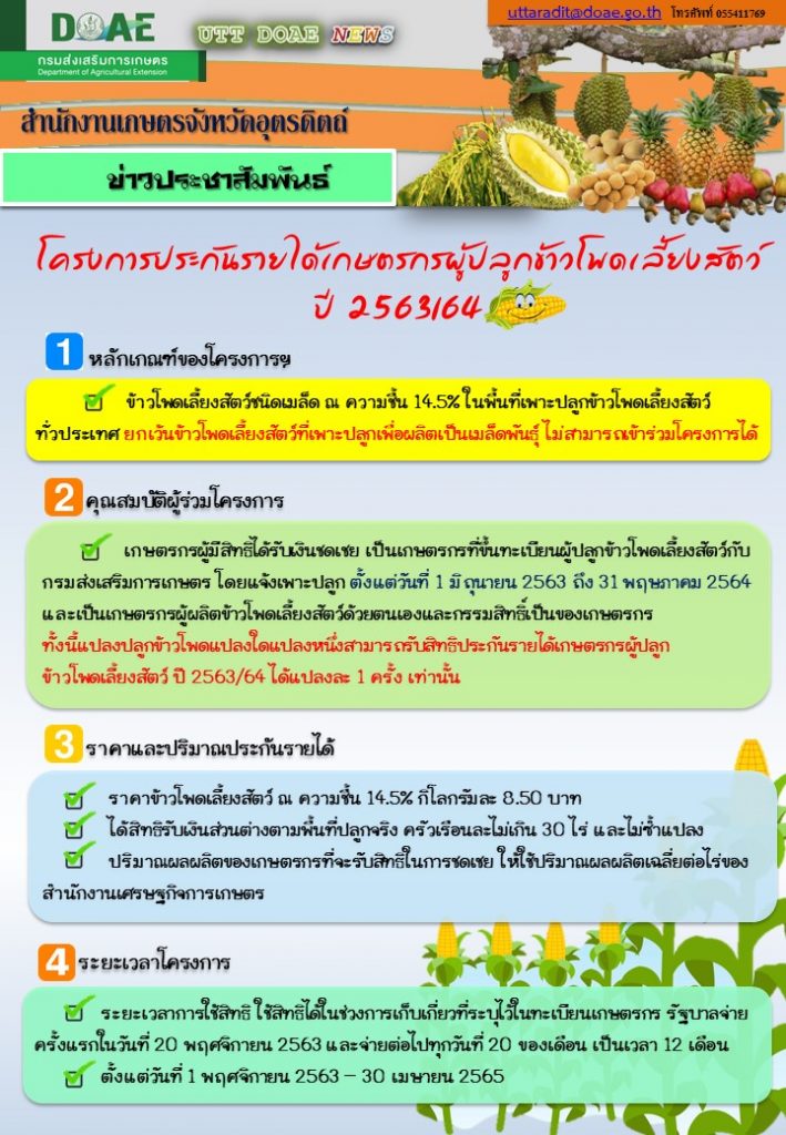 ประชาสัมพันธ์.. โครงการประกันรายได้เกษตรกรผู้ปลูกข้าวโพดเลี้ยงสัตว์ ปี 2563/64