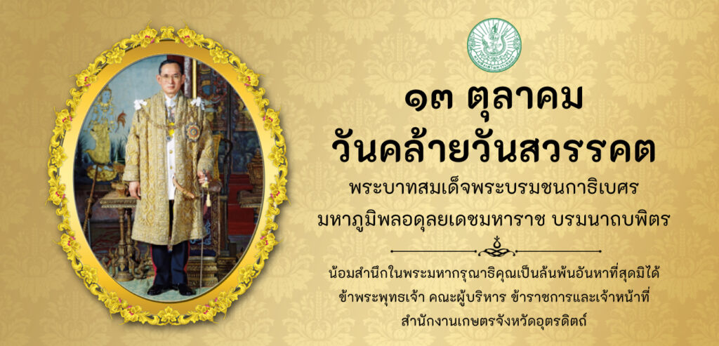 น้อมรำลึกถึงในหลวงรัชกาลที่ 9