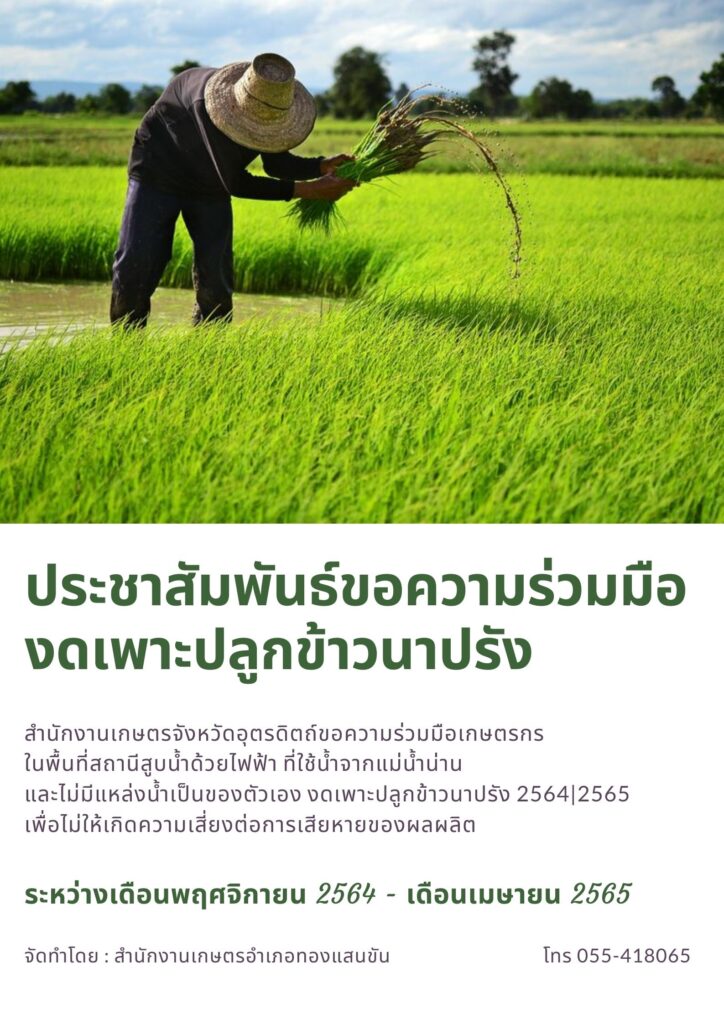 ประชาสัมพันธ์ขอความร่วมมืองดเพาะปลูกข้าวนาปรัง ปี 2564/65
