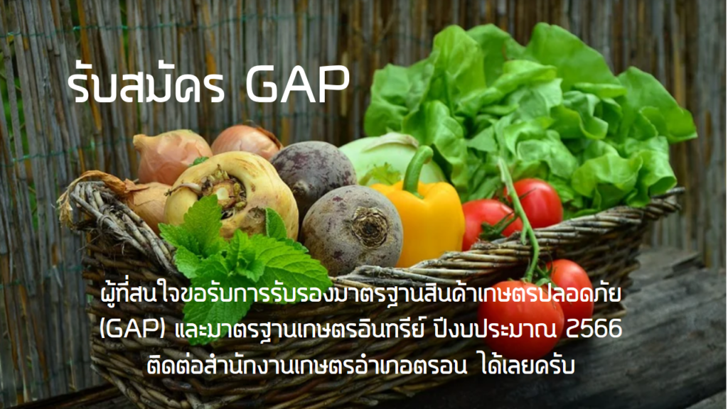 รับสมัคร GAP